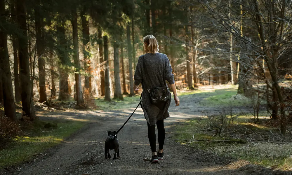 犬の散歩をしている女性。帰ってから英語日記にその日見た光景を書ける