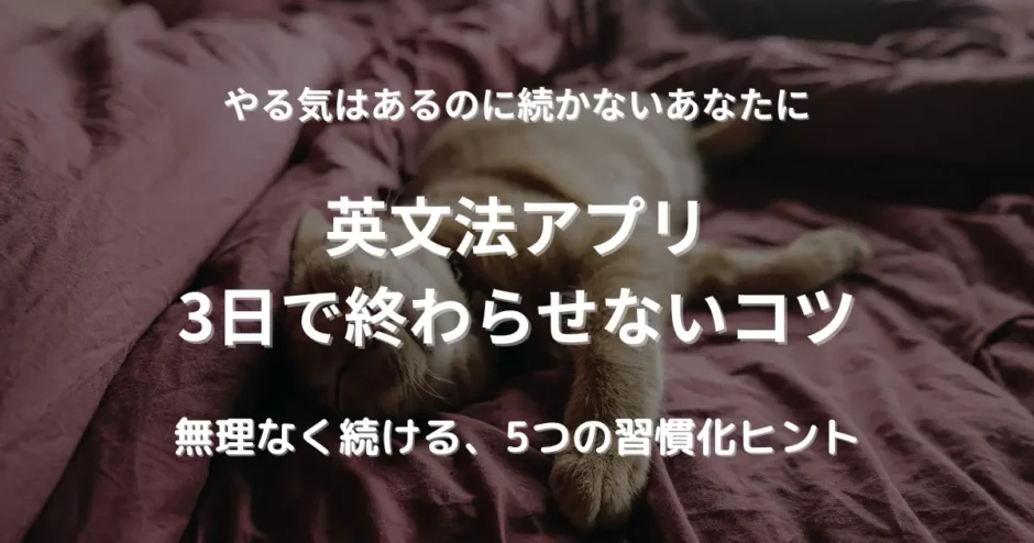 ネコがベッドに寝ている画像。三日坊主にならず英語学習アプリを続けるコツを紹介する画像