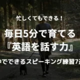 森の中を犬と散歩する女性の後ろ姿。忙しい日常の中で、英語を話す習慣を取り入れる様子をイメージした写真。